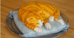 Torta gatto 1