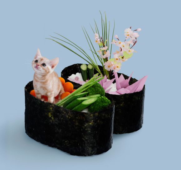 nekozushi_cat sushi gatto 8