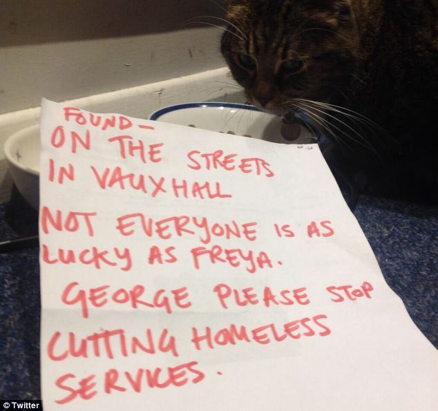 freya gatta ministro inglese senzatetto