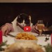 Un gatto e 13 cani al cenone di Capodanno! [VIDEO]