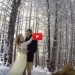 matrimonio cane