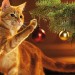 gatto albero
