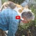 gatto schiena