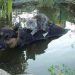 alluvione paraguay