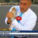Gattina interrompe una diretta TV e viene salvata dalla strada [VIDEO]